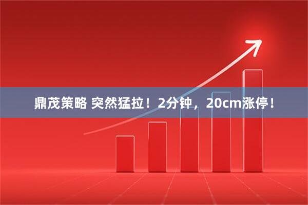 鼎茂策略 突然猛拉！2分钟，20cm涨停！